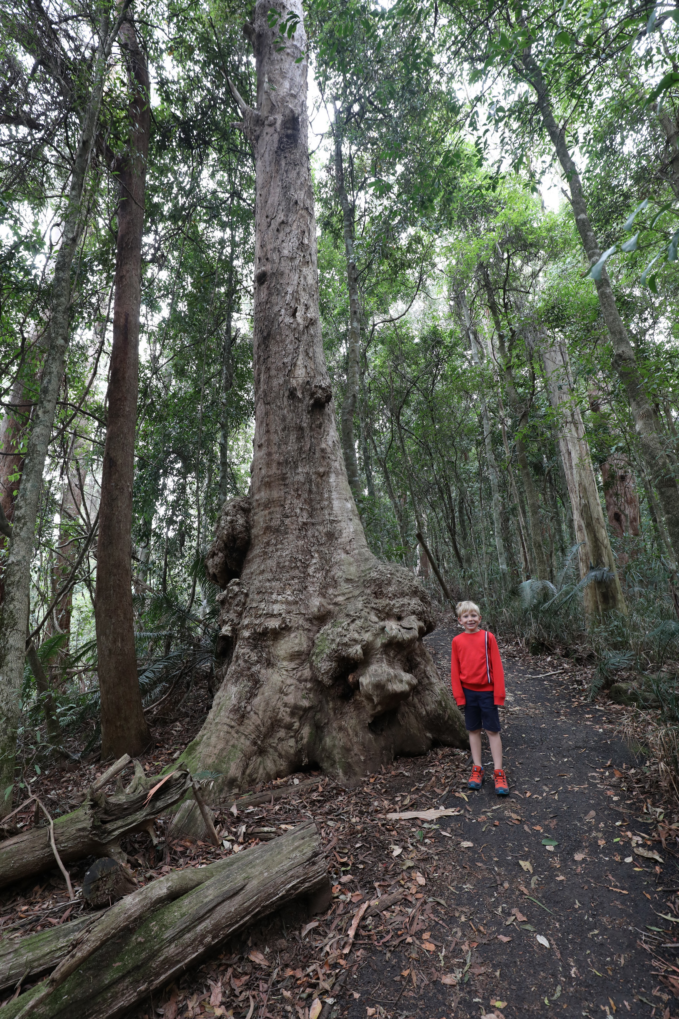 2020 01 14 15 34 19 Canon EOS 5D Mark IV 0021